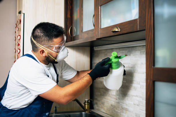 Best Ant Control Services  in Butler, GA
