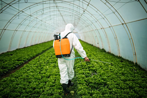 Best Best Pest Control Companies  in Butler, GA