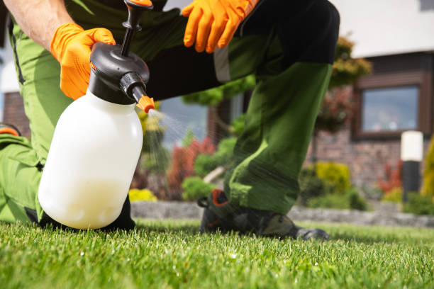 Best Termite Control Services  in Butler, GA
