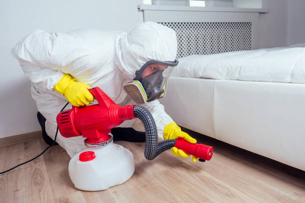 Best Affordable Pest Control Services  in Butler, GA