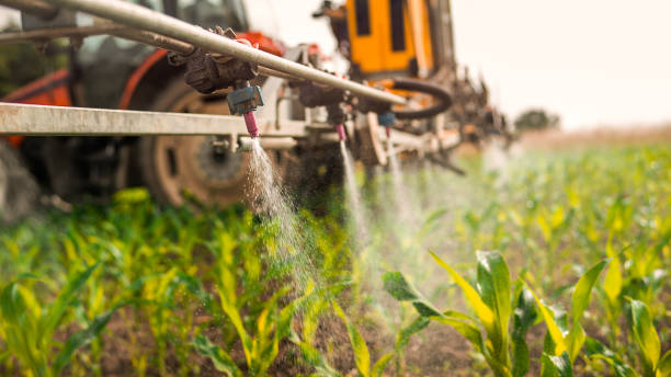 Best Commercial Pest Control Services  in Butler, GA